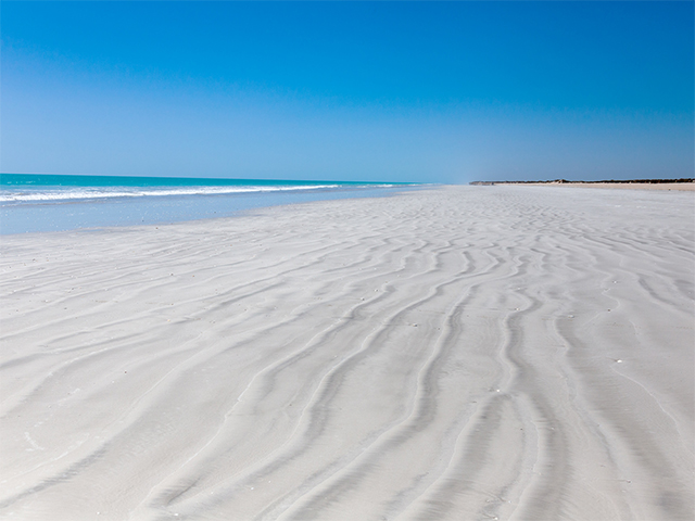 Eighty Mile Beach and Desert Delights