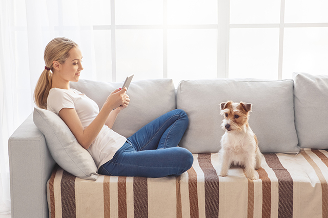 Tiny Apartment, Big Dog Energy: The Best Dogs for Aussie Girls Living in Units