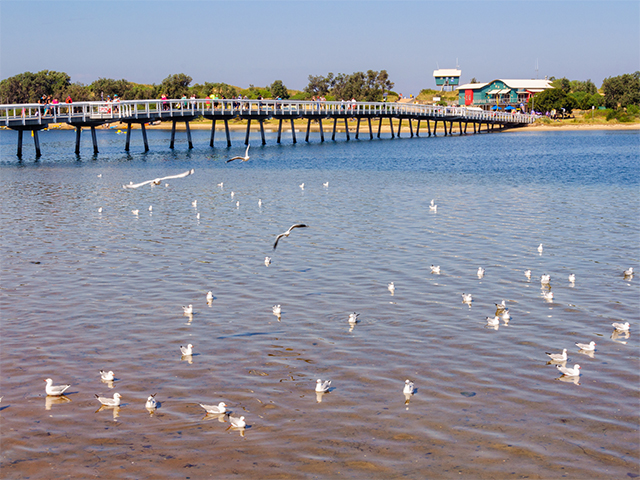 Lakes Entrance, a Coastal Gem for Boating and the Beach