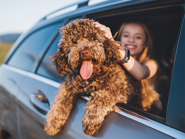 How to Travel with Your Pet Stress-Free