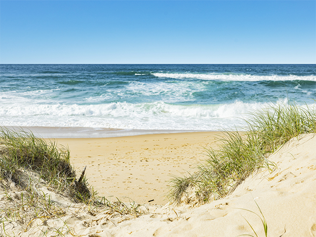 Queensland Australia The Ultimate Sunshine State Escape