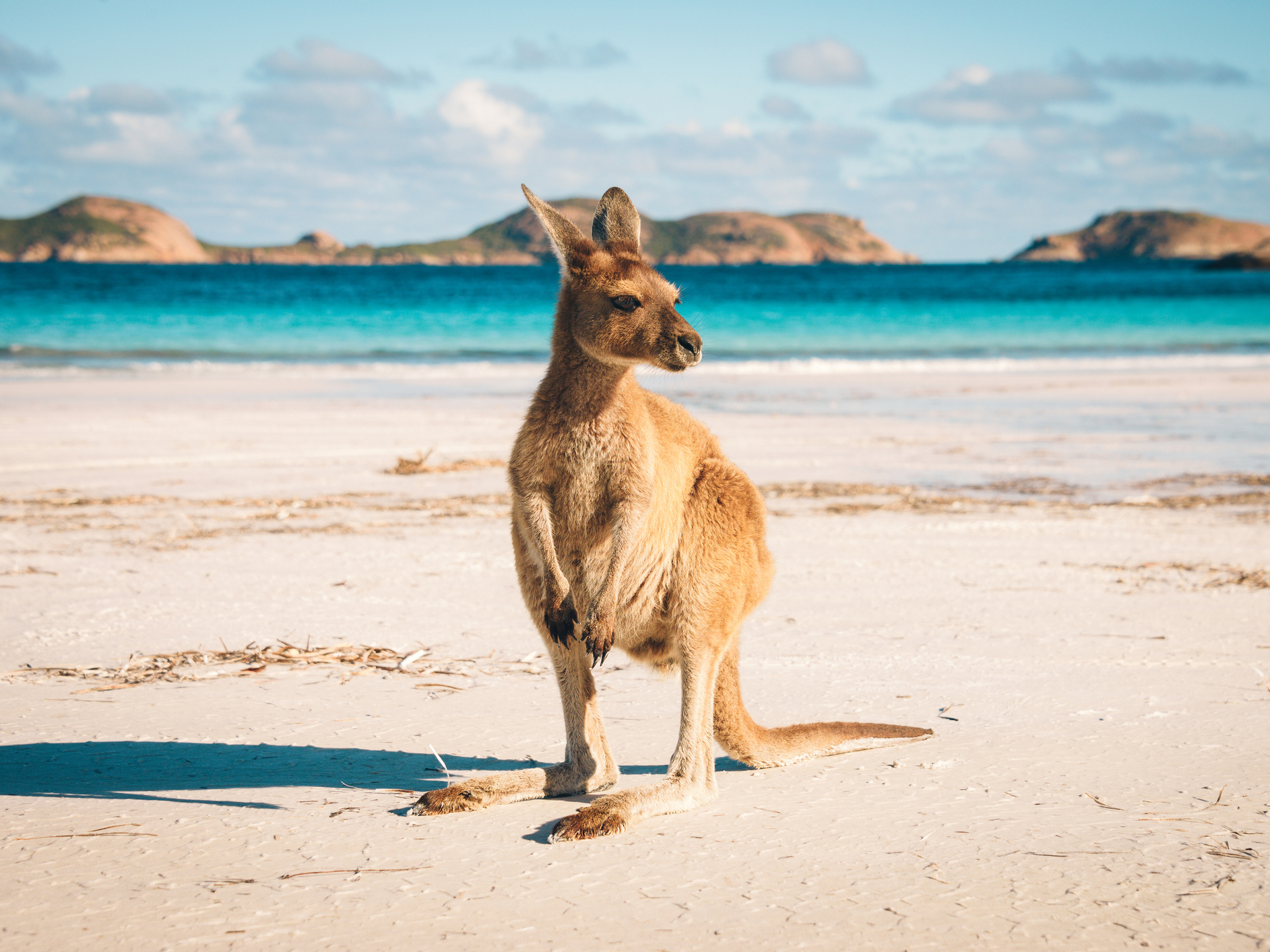 Australia: An Adventure from Coast to Outback
