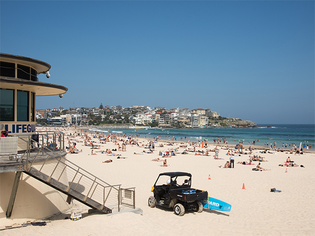 Bondi Beach Australia Sun, Surf and Style