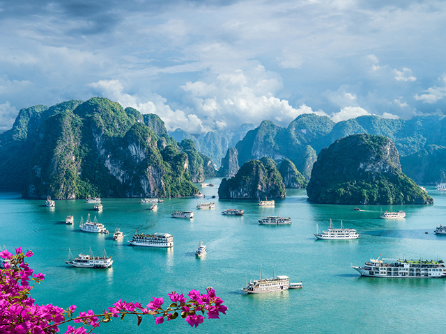 Vietnam Awaits: History, Culture, and Delicious Cuisine