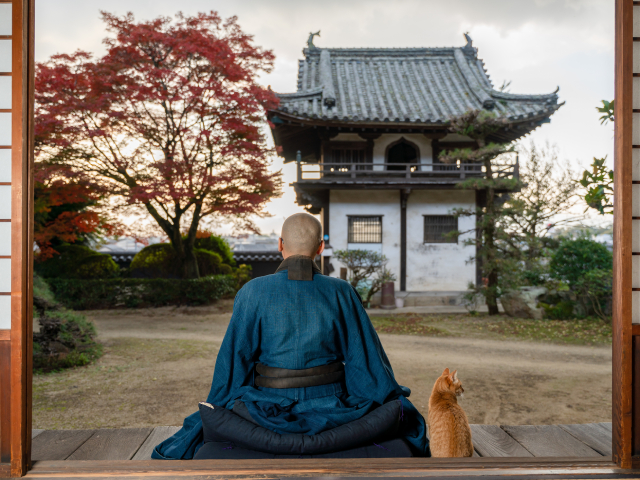 Why Japan Is the Ultimate Destination for Wellness Travel