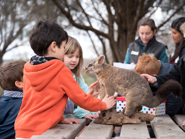 Junior Ranger Program