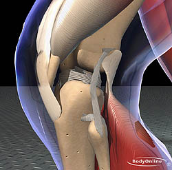 Facts on Rheumatoid Arthritis