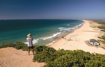 Summer Heat Lake Macquarie s Hottest Spots for Fun in the Sun