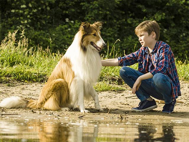 Film Review: Lassie Come Home