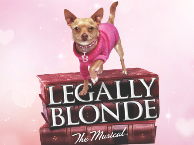 Smash Hit Musical, Legally Blonde to Open in Melbourne in July