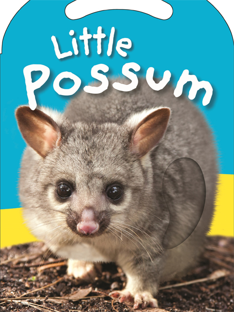 Little Possum