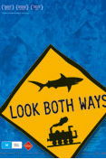 Look Both Ways