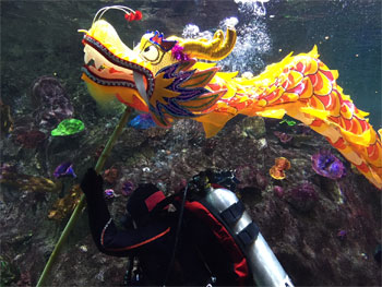 Sea Life Melbourne Celebrates Lunar New Year
