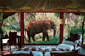Sanctuary Makanyane Safari Lodge with Sanctuary Retreats