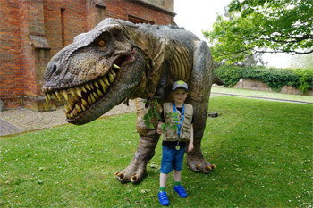 Cancer Patient Beau Walks with a Dinosaur