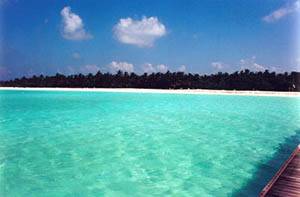 Visit the Maldives