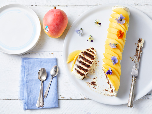 No Bake Calypso Mango Cheesecake Log