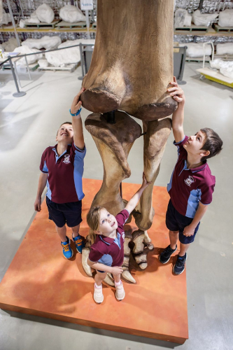 Meet Cooper - The Largest Dinosaur Ever Discovered in Australia During Queensland Dinosaur Week