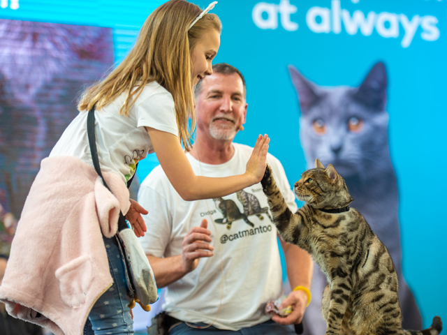 Cat Lovers Show Melbourne