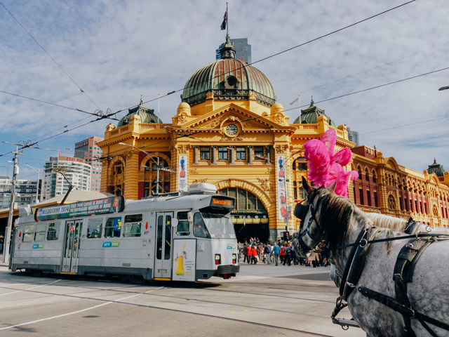 Patrick Liddy Australian Liveability Interview