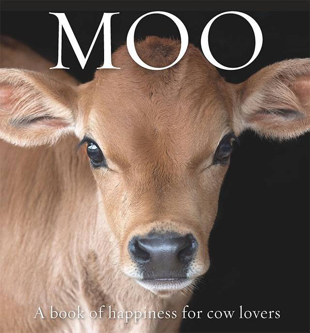 Moo A book of happiness for cow lovers