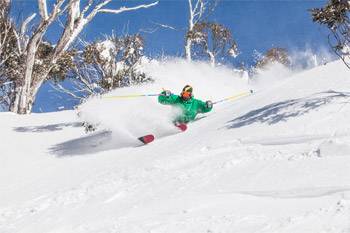 The Mountain Collective with Thredbo