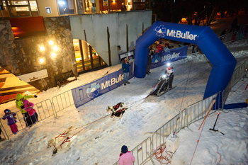 Mt Buller's Eagle Pack Sled Dog Quest