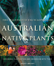 Native Plants Geoff Bryant