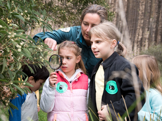 Nature Treasure Hunts