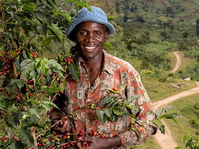 Nespresso's Reviving Origins Coffee