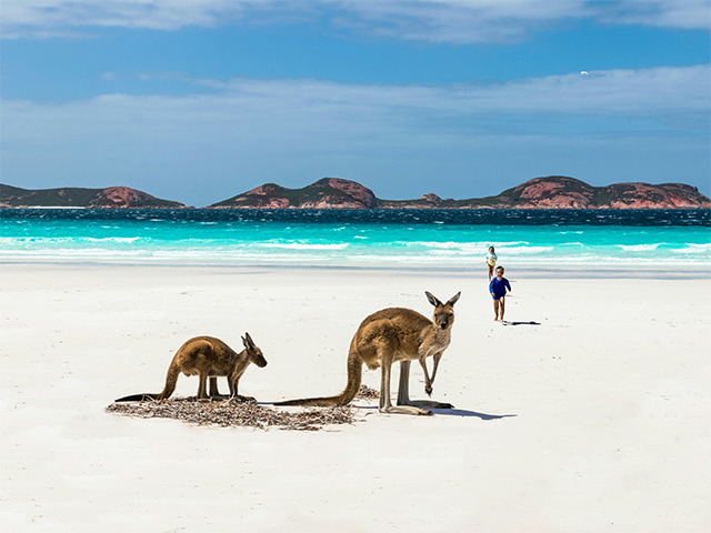 Kangaroo Island Wild Days and Cosy Nights