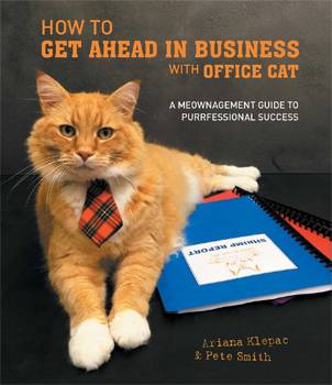 How to Get Ahead in Business with Office Cat