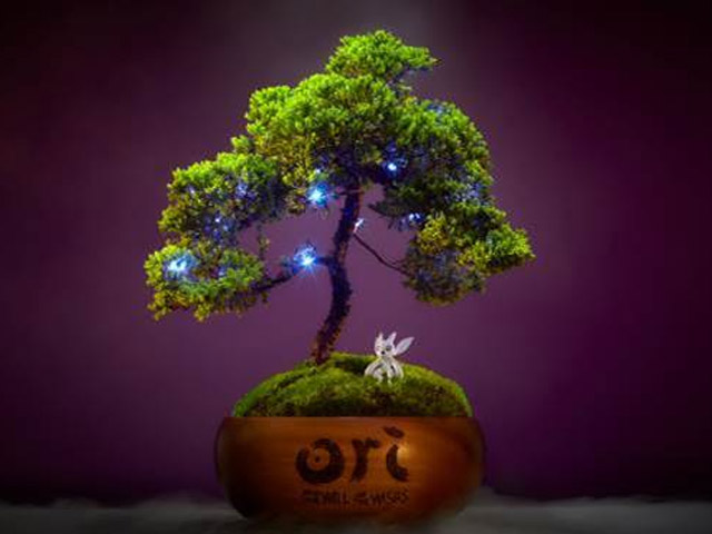 Ori Bonsai Spirit Trees