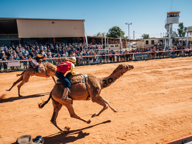 Queensland's New Outback Adventure is Camel-tastic