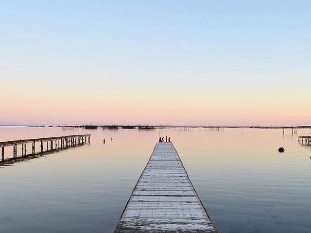 Oyster-Farm Hotel