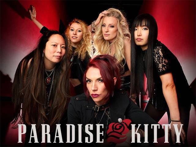 Paradise Kitty Tour
