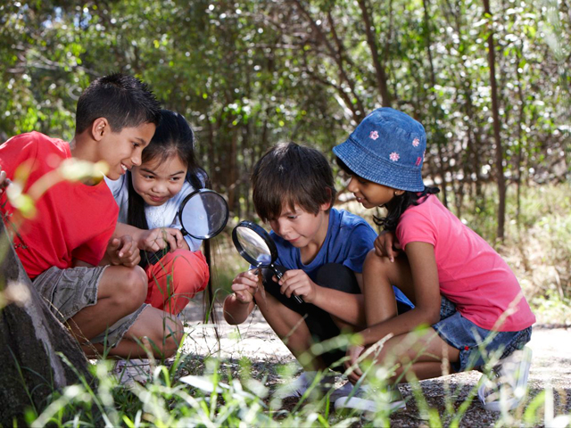 Junior Ranger Program