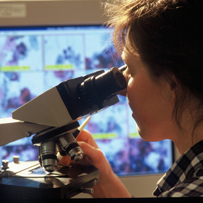 Structured Reporting for Cancer Patients