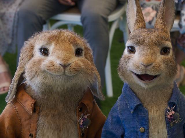 Peter Rabbit 2