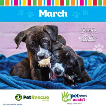 2016 PETstock Calendar