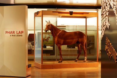 Phar Lap comes together for 150th Melbourne Cup