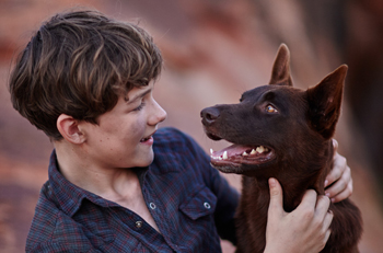 Levi Miller Red Dog: True Blue