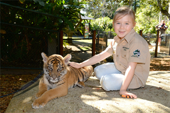 Tiger Cub, Reggie