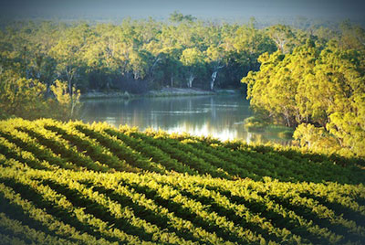 Riverland Wine and Food Festival