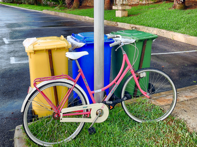 Rubbish Bin and Theft