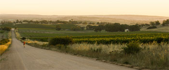 Runaway Barossa Marathon