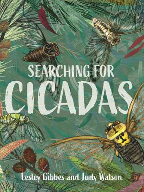 Searching for Cicadas