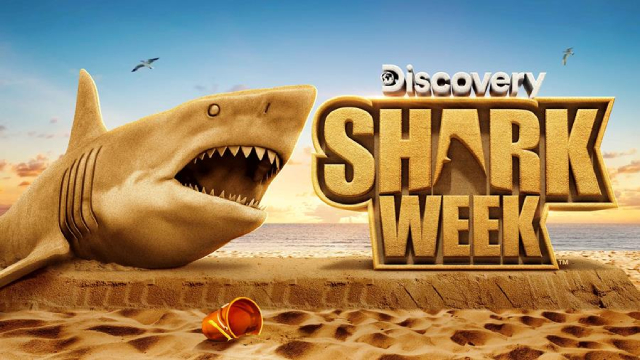 Warner Bros. Discovery August Highlights