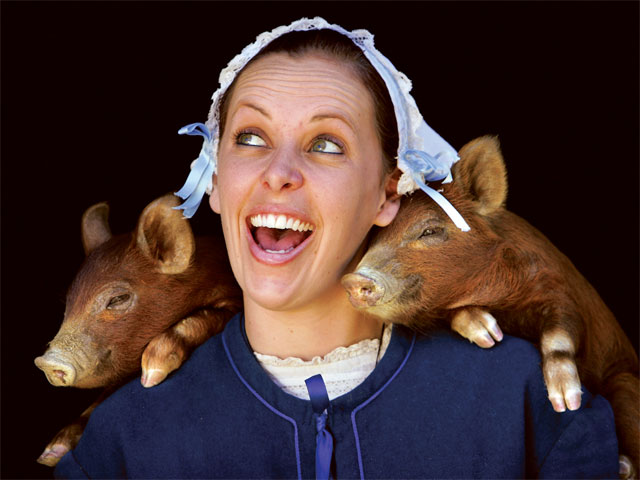 Sovereign Hill's Piglets