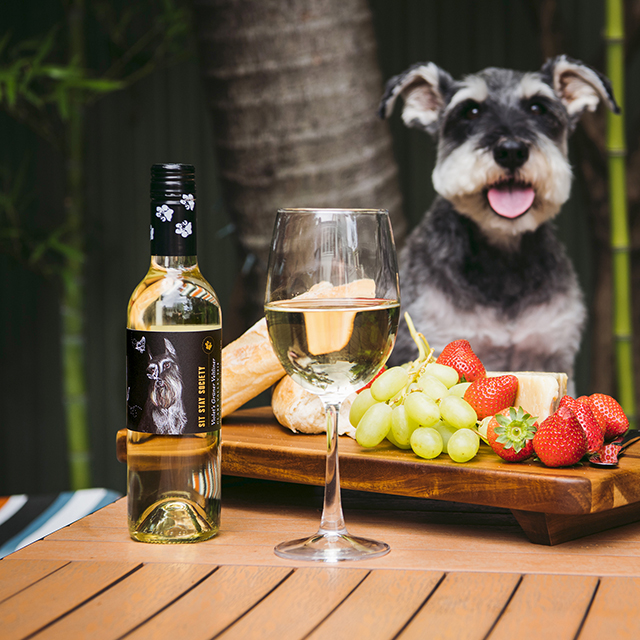 Help Pets in Need with Sit Stay Society Wines